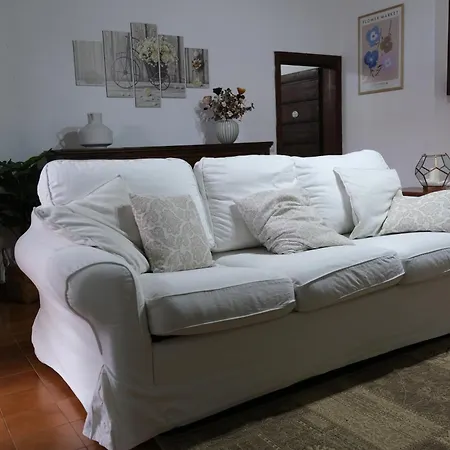 Joy's Nest Τόντι