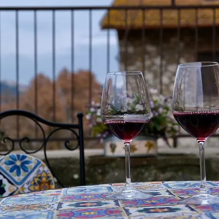 Joy's Nest Τόντι