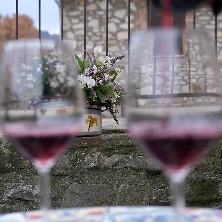 Apartment Joy's Nest Todi