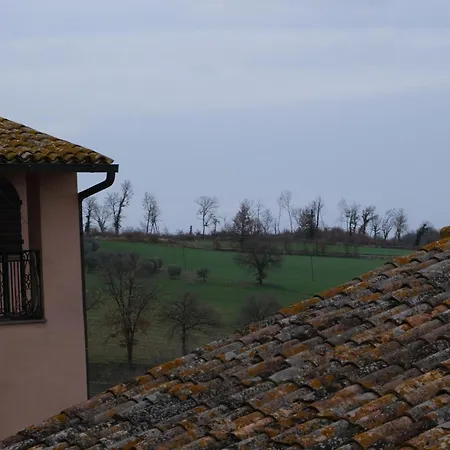Joy's Nest Todi