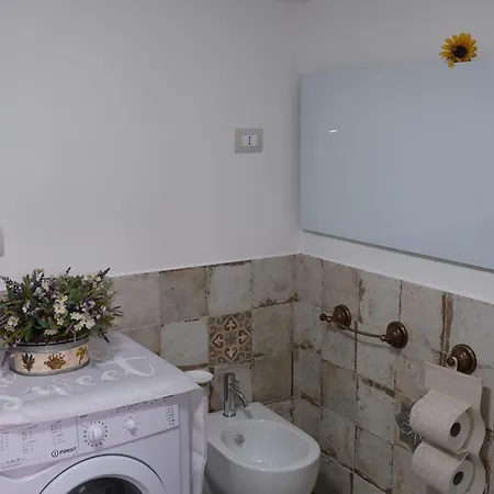 Joy's Nest Τόντι