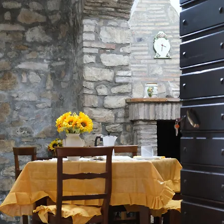 Apartment Joy's Nest Todi