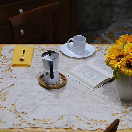 Joy's Nest * Τόντι