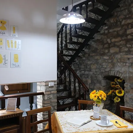 Joy's Nest Todi