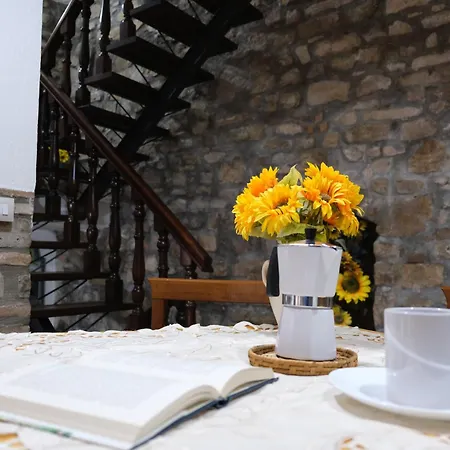 Joy's Nest Διαμέρισμα