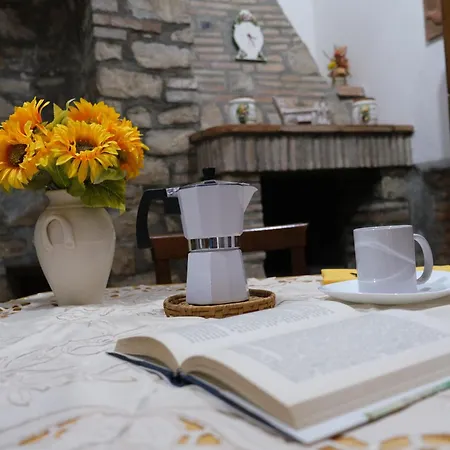 Joy's Nest Apartment *