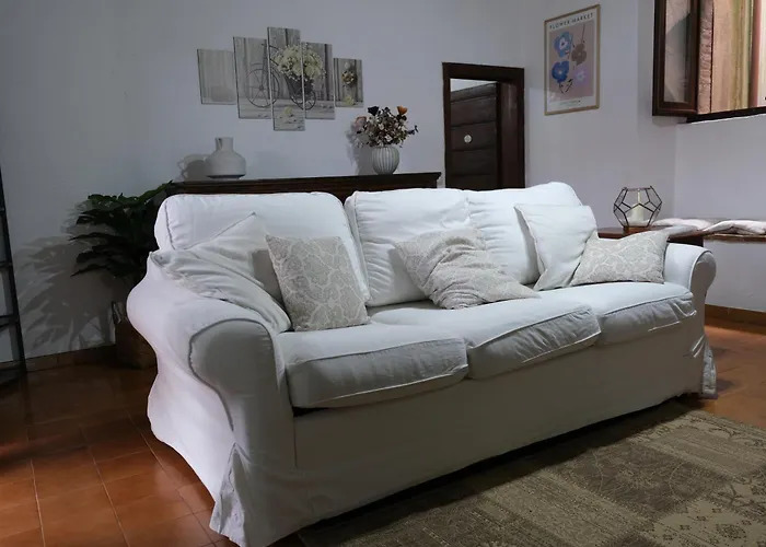 Joy's Nest トーディ