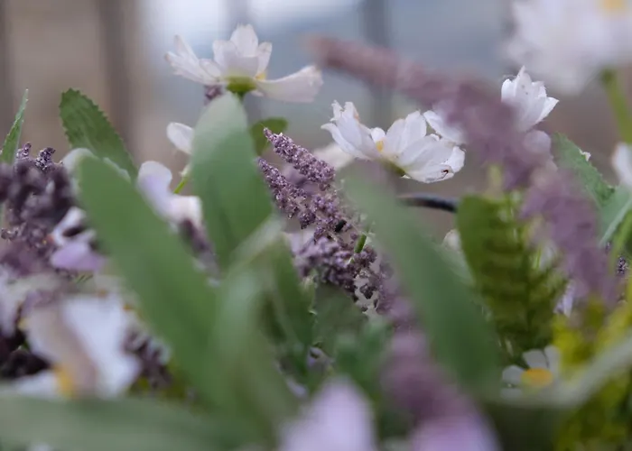 Joy's Nest アパート