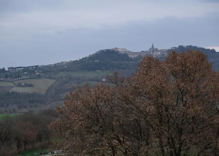 アパート Joy's Nest *