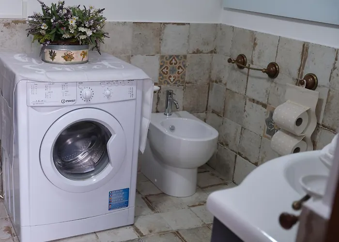 Joy's Nest トーディ